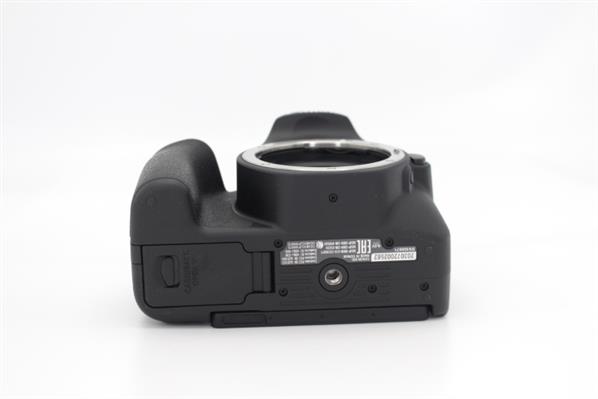 Main Product Image for Canon EOS 200D DSLR Body 