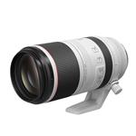 Canon RF 100-500mm f/4.5-7.1 L IS USM Lens image