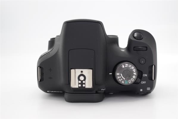 Main Product Image for Canon EOS 2000D Digital SLR Body