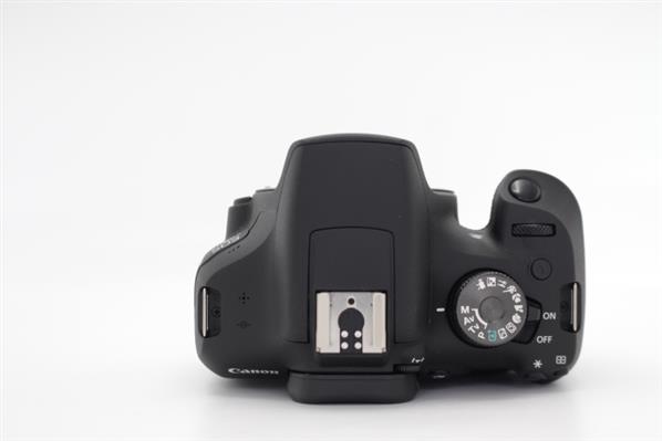 Main Product Image for Canon EOS 2000D Digital SLR Body