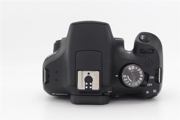 Main Product Image for Canon EOS 2000D Digital SLR Body