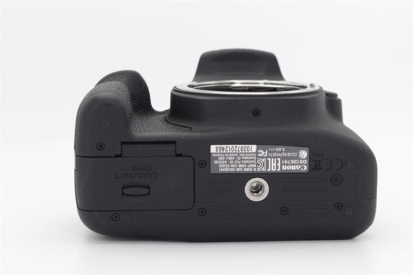 Main Product Image for Canon EOS 2000D Digital SLR Body