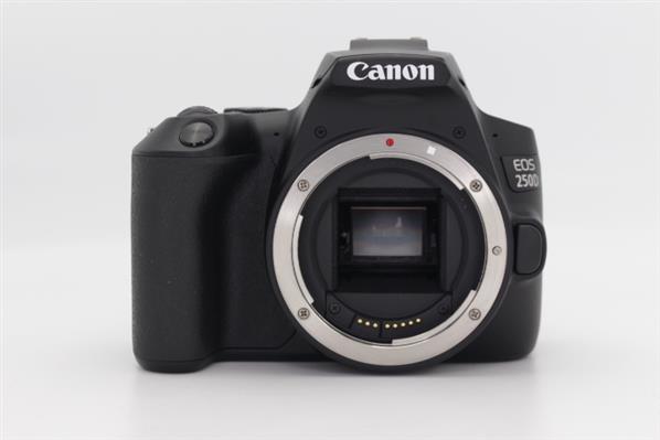 Main Product Image for Canon EOS 250D Digital SLR Body