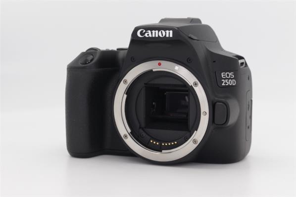 Main Product Image for Canon EOS 250D Digital SLR Body