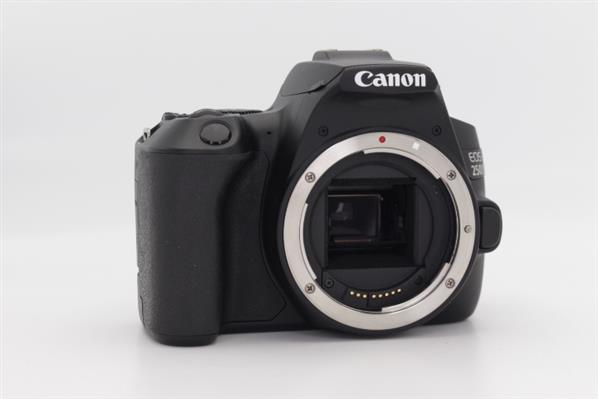 Main Product Image for Canon EOS 250D Digital SLR Body