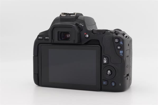 Main Product Image for Canon EOS 250D Digital SLR Body