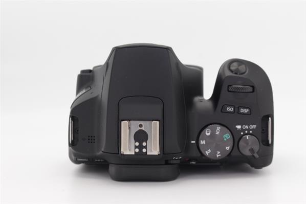 Main Product Image for Canon EOS 250D Digital SLR Body