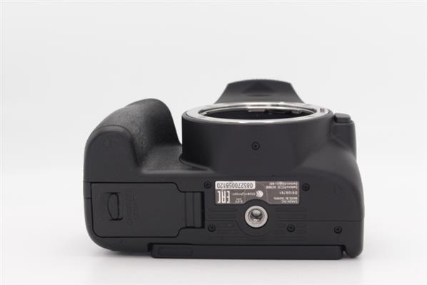 Main Product Image for Canon EOS 250D Digital SLR Body