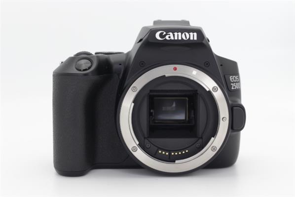 Main Product Image for Canon EOS 250D Digital SLR Body