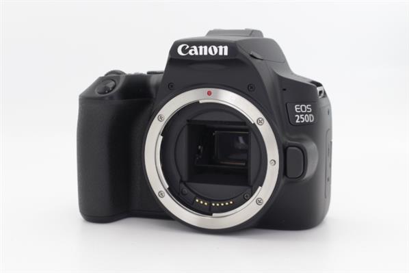 Main Product Image for Canon EOS 250D Digital SLR Body