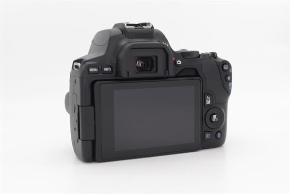 Main Product Image for Canon EOS 250D Digital SLR Body