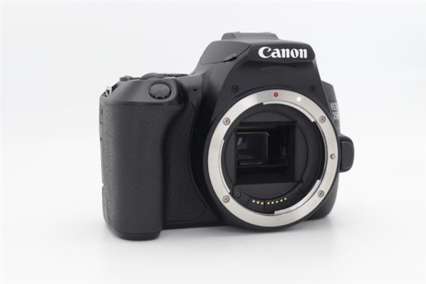 Main Product Image for Canon EOS 250D Digital SLR Body