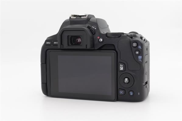 Main Product Image for Canon EOS 250D Digital SLR Body