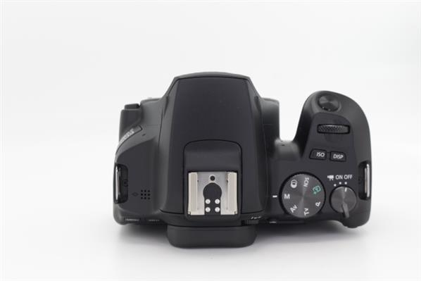 Main Product Image for Canon EOS 250D Digital SLR Body