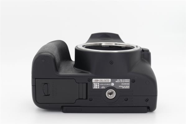 Main Product Image for Canon EOS 250D Digital SLR Body