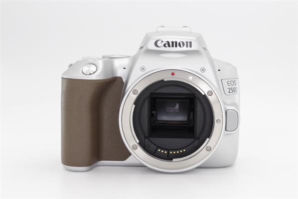 Main Product Image for Canon EOS 250D Digital SLR Body