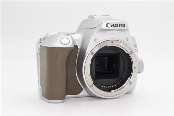 Main Product Image for Canon EOS 250D Digital SLR Body