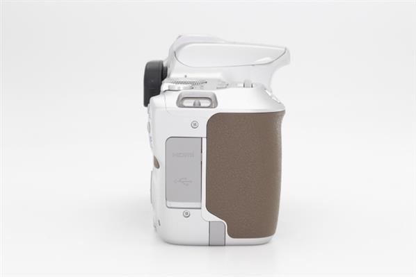 Main Product Image for Canon EOS 250D Digital SLR Body