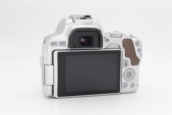 Main Product Image for Canon EOS 250D Digital SLR Body