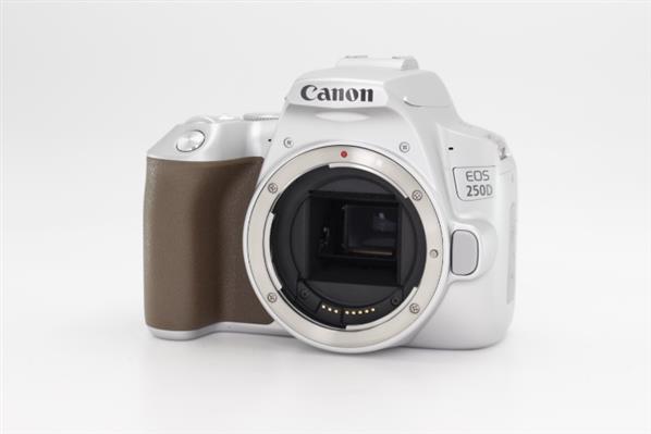 Main Product Image for Canon EOS 250D Digital SLR Body