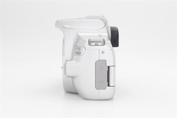 Main Product Image for Canon EOS 250D Digital SLR Body