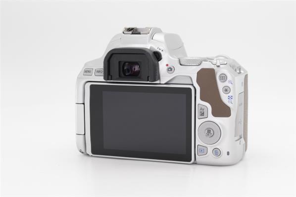 Main Product Image for Canon EOS 250D Digital SLR Body