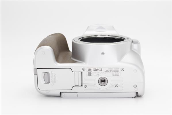 Main Product Image for Canon EOS 250D Digital SLR Body