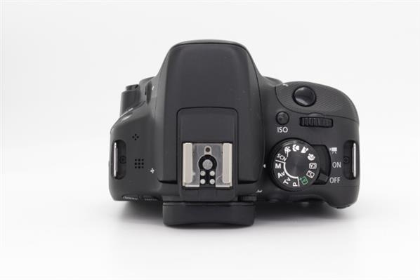 Main Product Image for Canon EOS 100D Digital SLR Body