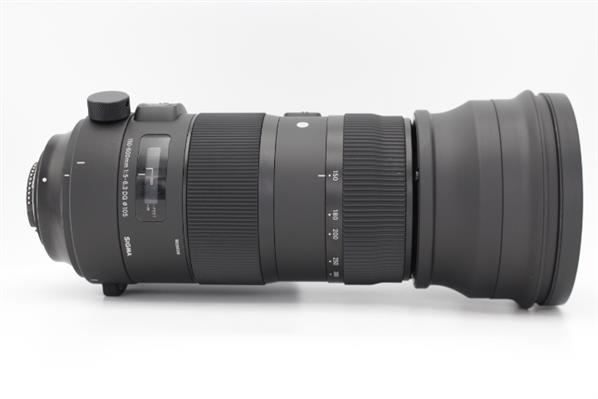 Main Product Image for Sigma 150-600mm f/5-6.3 DG OS HSM  S Lens - Nikon F