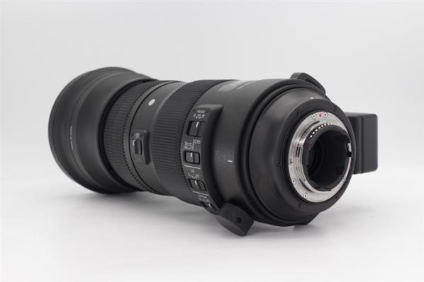 Main Product Image for Sigma 150-600mm f/5-6.3 DG OS HSM  S Lens - Nikon F