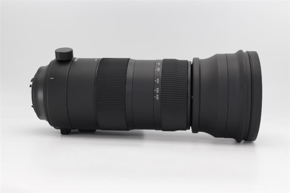 Main Product Image for Sigma 150-600mm f/5-6.3 DG OS HSM  S Lens - Nikon F