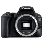 Canon EOS 200D DSLR Body  image