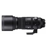 Sigma 150-600mm F5-6.3 DG DN OS S Lens - Sony E-Mount image