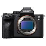 Sony a7S III Mirrorless Camera Body image