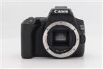 Canon EOS 250D Digital SLR Body (Used - Excellent) product image