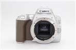 Canon EOS 250D Digital SLR Body (Used - Good) product image